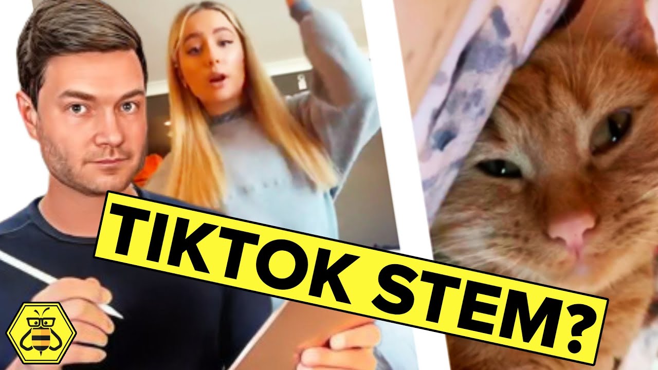 TikTok's STEM Feed: A Genuine Education Push or PR Stunt?