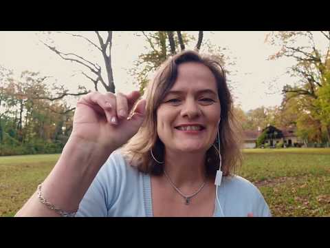 Wie wichtig ist ein knackiger Produktname für Deine Sichtbarkeit?