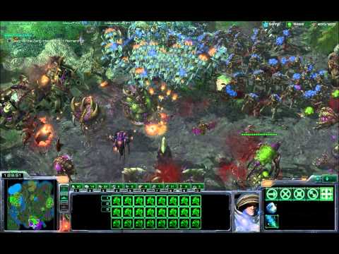 Starcraft II - Someone stole my Zerg!
