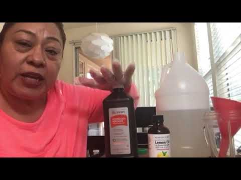 download lagu mp3 mp4 Clarasol, download lagu Clarasol gratis, unduh video klip Clarasol