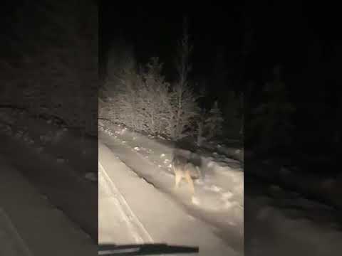 21 января 2024 г.