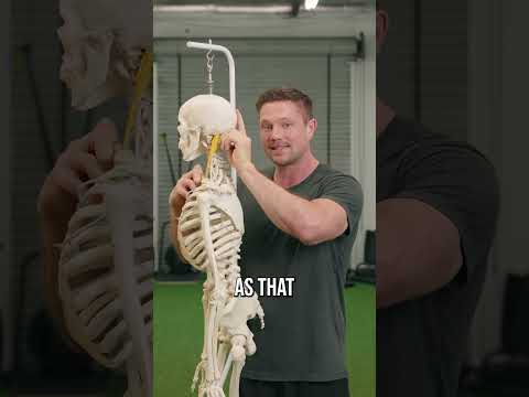 The Best Method To Fix Forward Head Posture (for good)