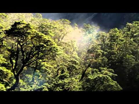 Serenity (Original Mix) - Sound Apparel
