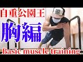 【自重公園王筋トレ】強い胸を作るならこの基本的腕立てをしよう!