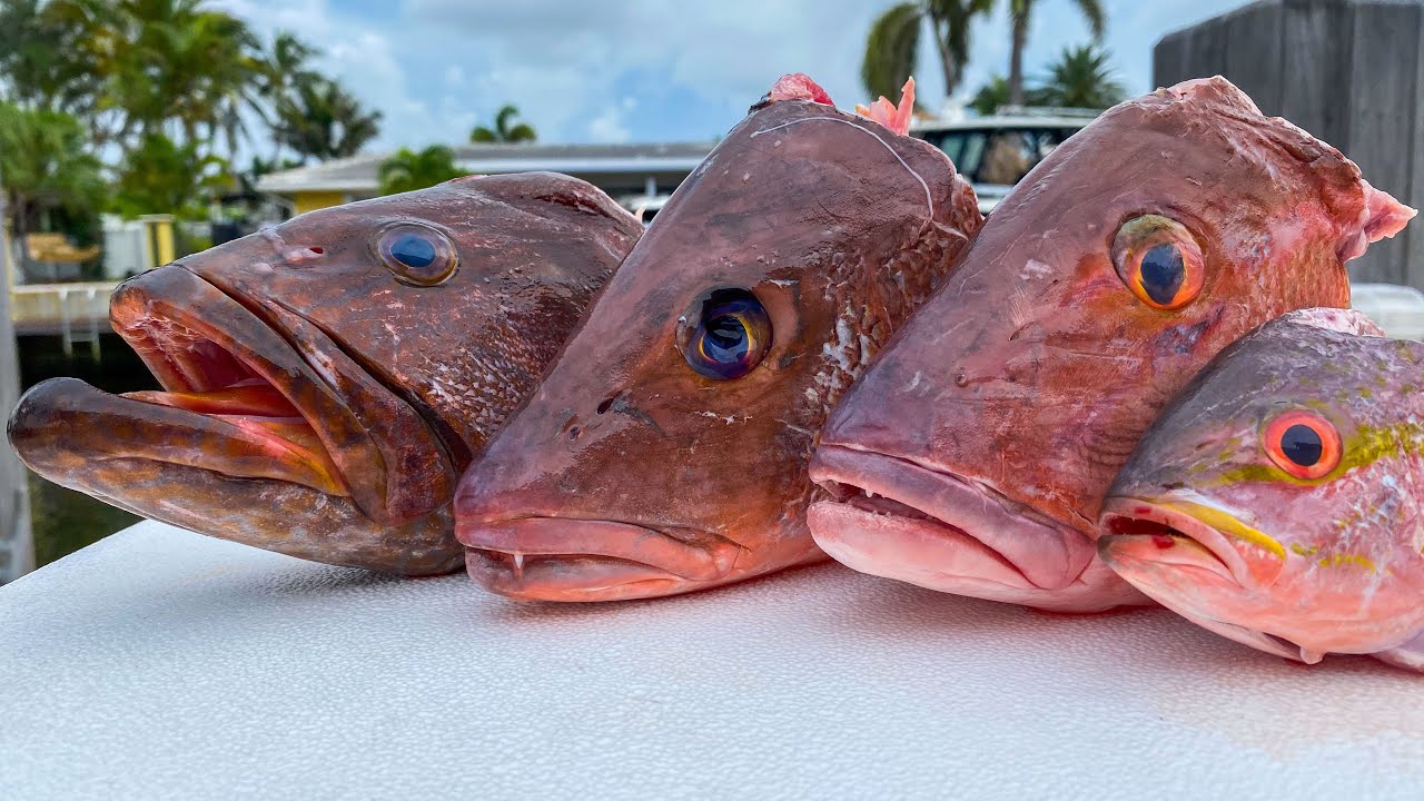 Fish HEAD Soup! Catch Clean Cook (Florida Keys Snapper ...