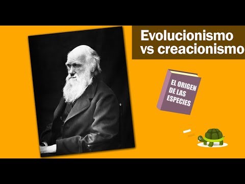 EVOLUCIONISMO VS CREACIONISMO #SCIENCETRUCK5