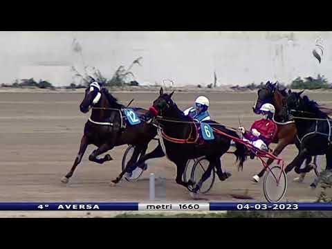 Aversa trotto 4 Marzo 2023 - 4° Corsa