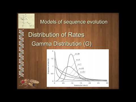Unit 1 2 2 Models of Nucleotide Evolution