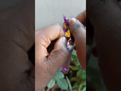Cadbury dairy milk silk hazelnut inside chocolate #shorts