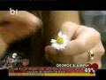 Ionut Cercel-Un Pupic by manele-best of 