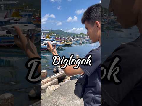 ADA GLOGOK JARAN DI TPI PANTAI PRIGI TRENGGALEK