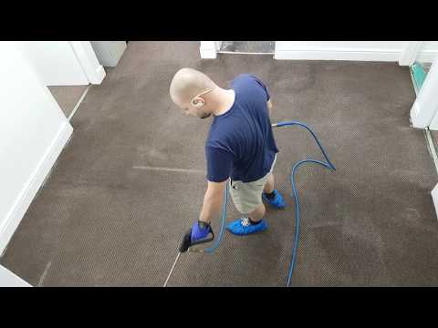 Carpet Cleaning - Step By Step @ www.carpetcleaningplus.co.uk