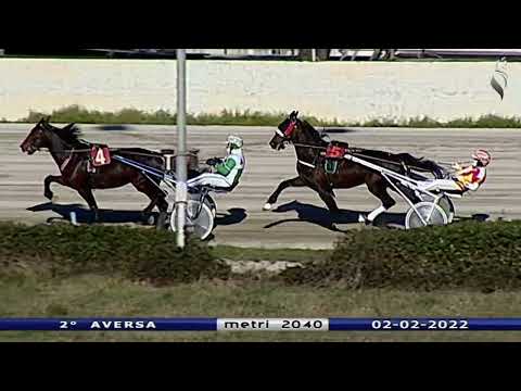 Aversa trotto 2 Febbraio 2022 - 2° Corsa