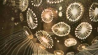 Colleen - The Heart Harmonicon  (by Pashet)