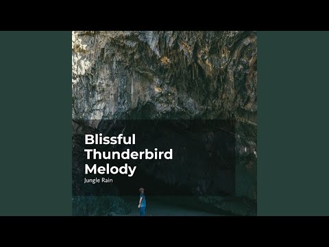 Ample Rain in the Woods