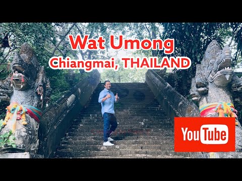 O famoso Wat Umong Suan Phutthatham de Chaing Mai