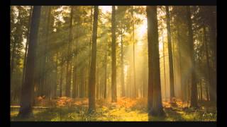 Doina - Leo Fuld - english Doina - Leo Fuld - english