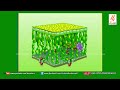 KITE VICTERS STD 6 Basic Science Class 3 (First Bell-ഫസ്റ്റ് ബെല്) KITE VICTERS STD 6 Basic Science Class 3 (First Bell-ഫസ്റ്റ് ബെല്)