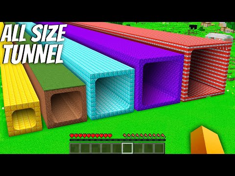 I found a ALL SIZE TUNNEL in Minecraft ! What's INSIDE the LONGEST TUNNEL in Minecraft ?