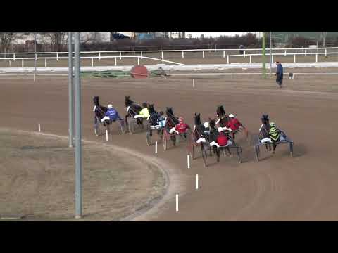 2019.02.23. 04. futam - CÉDRUS DÍJ