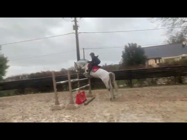 Belle Ponette CSO 