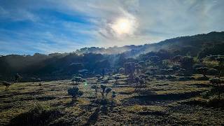 Download lagu Climbing the Classic Route of Mount Pangrango via Cibodas mp3