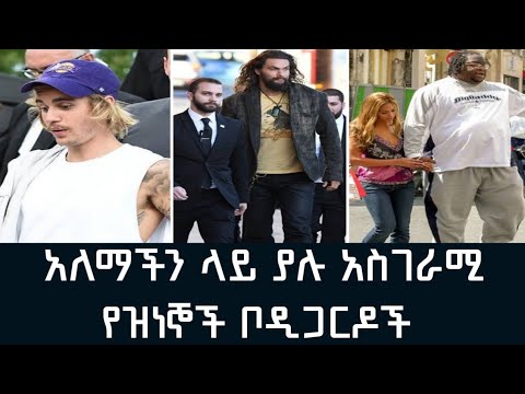 አለማችን ላይ ያሉ አስገራሚ የዝነኞች ቦዲጋርዶች|amezing celebrates bodyguards