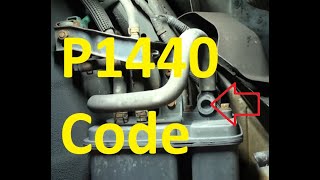 Síntomas del p1440 Volkswagen