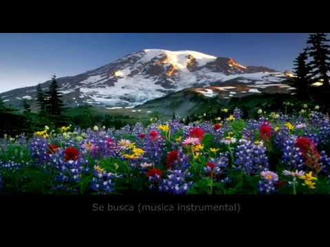 Los mejores valses de todos los tiempos (The best waltzes of all time)