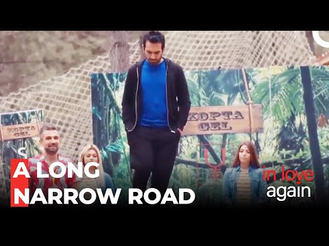 The Cool Cat: Fatih - In Love Again