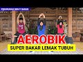 LEMAK TUBUH AUTO MUSNAH AEROBIK PENURUNAN BERAT BADAN