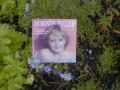 Bonnie Tyler, Bye bye now my sweet love 