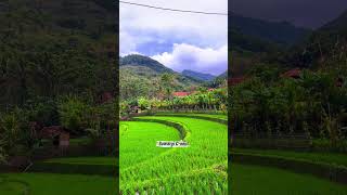 Download lagu Amazing Place Wow ‼️ mp3 Download lagu Amazing Place Wow ‼️ mp3