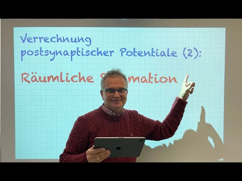 Verrechnung postsynaptischer Potentiale (2): Räumliche Summation (2022)