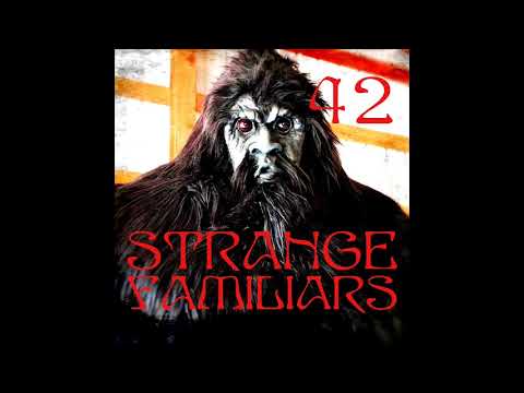 Episode 42: Paranormal Bigfoot with Strange Brau