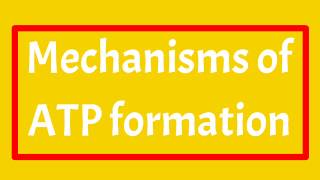 Mechanisms of ATP formation ll Substrate Level Phosphorylation ll Examples