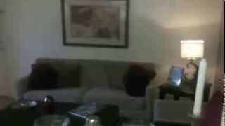 preview picture of video 'Riva Terra Apartments at Redwood Shores - Redwood City - 1 Bedroom B'