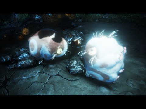 Lords of the Fallen | Chill Stream - Blind Co-op (veteran mode)