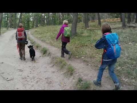 Auf dem Weg zur Harzer Wanderprinzessin HWN80 HWN81 HWN82 HWN76 HWN77 HWN78