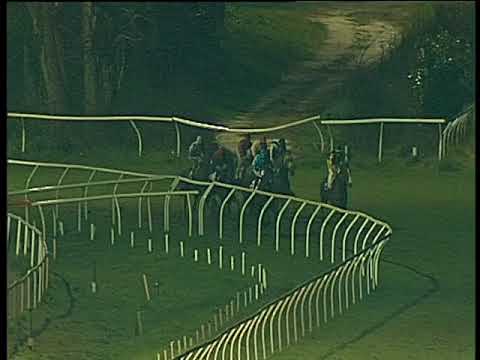 Galoppo 20/02/2018 - 6ª corsa