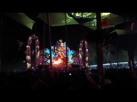 Antinomy - Flor da vida 2023