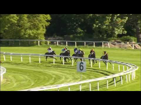 83. Gerling-Preis - Group 2  2018