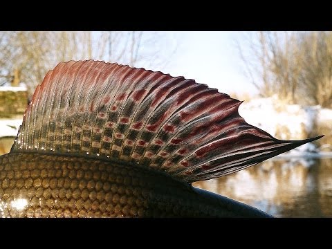 Vítek Misar a Franta Tobiáš na Blanici 1.2.2014