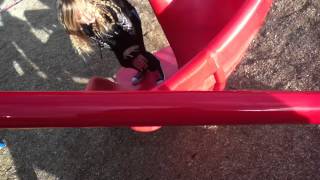preview picture of video 'tara trying to get up a slide'