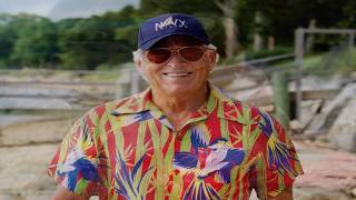 Jimmy Buffett ~ Banana Wind