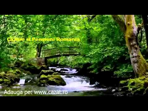 Cazare Filitelnic, Mures - Cazat.ro