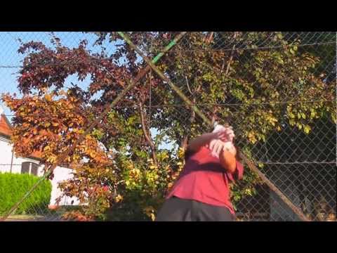 Betkó - Summer Freestyle (2011)