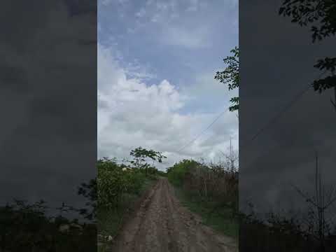 #São Benedito do Rio Preto Maranhão 🇧🇷