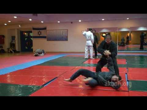 Teiken no kata - 1st level Gyokko ryu for Akban wiki