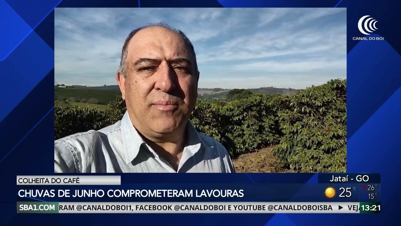 Chuvas de junho prejudicam colheita do café em importantes regiões produtoras